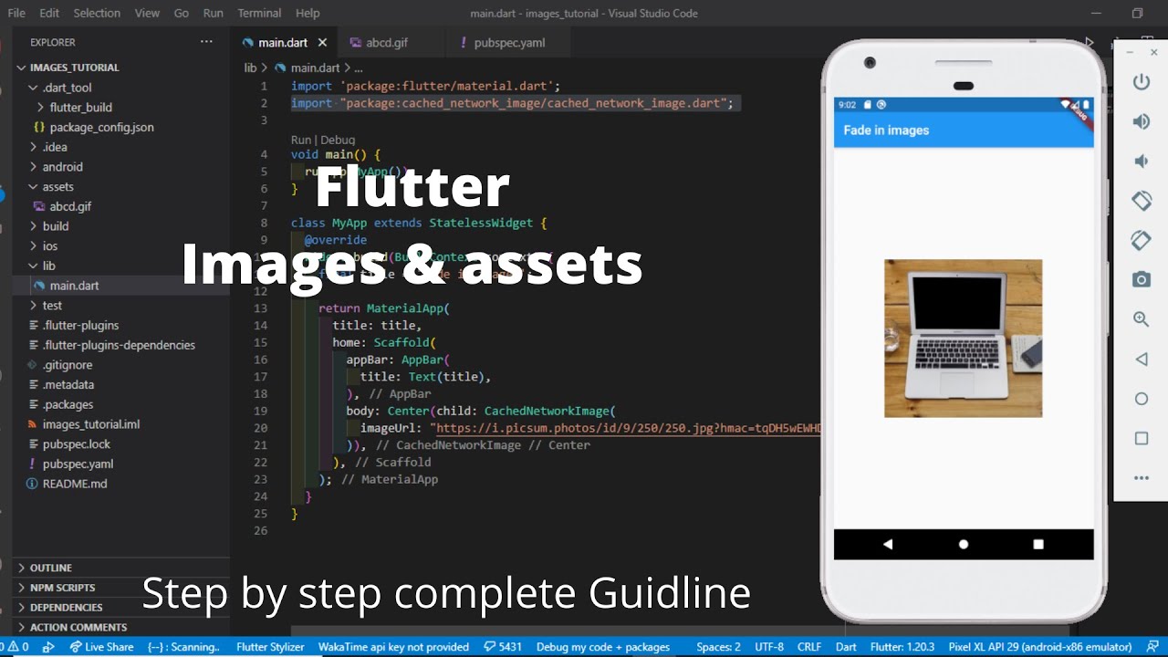 how to add image in flutter project